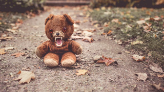 Teddy bear open mouth dirt - mouth wide open free wallpaper