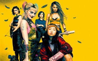 Feminist group women birds yellow - promotional image free wallpaper