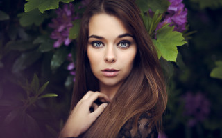 Woman blue eyes purple flowers - a picture in front free wallpaper for desktop