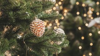 Pine cone ornament christmas bokeh - the background and a blurry background free wallpaper