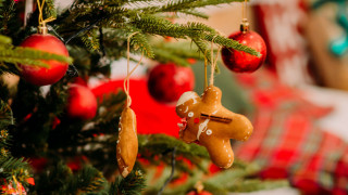Christmas tree ornaments gingerbread man - branch free wallpaper