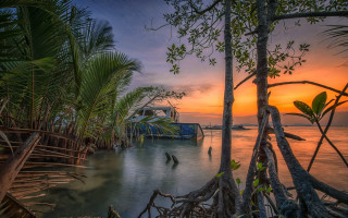 Boat tree sunset nature bamboo - near free wallpaper for desktop
