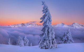 Snowy mountain tree sunset clouds - caspar wolf free wallpaper