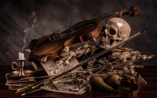 Violin skull smoke wine vanitas - a bottle of wine free wallpaper