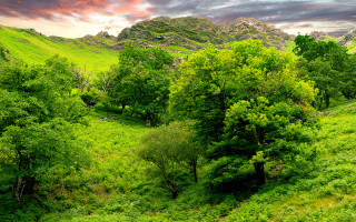 Lush green hillside mountains sunset - a pink sky above free wallpaper