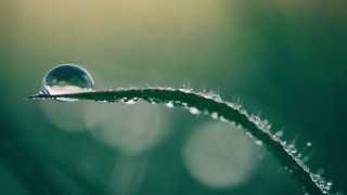 Water drop green leaf macro 3 - drop of water free wallpaper