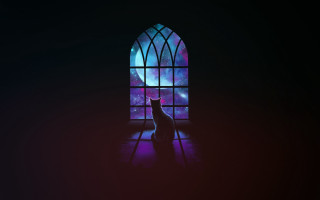 Cat window moonlight starry sky - front of a window free wallpaper
