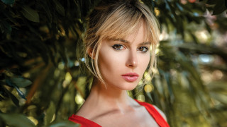 Woman red dress tree portrait 2 - a bun free wallpaper