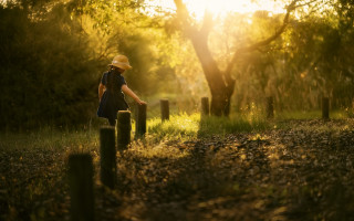 Person walking woods sunset hat - elizabeth durack free wallpaper