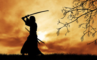 Woman sword tree sunset bamboo - a woman holding free wallpaper