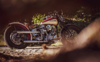 Motorcycle dirt road forest person - a forest of trees and bushes free wallpaper