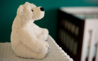 Polar bear stuffed bed room - canon 5 0 mm free wallpaper