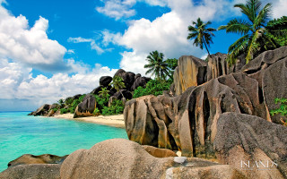 Bascove beach rocks palm trees - beautiful landscape free wallpaper