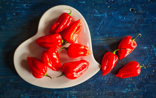 White plate red peppers blue - boetius adamsz bolswert free wallpaper
