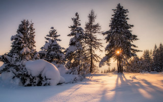 Snowy forest sunset mountain lake - david martin free wallpaper