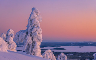 Snowy tree hill lake sunset - a lake in the background free wallpaper