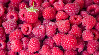 Raspberries strawberry green stem naturalism - a pile together free wallpaper