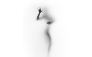Shadow reach bird liminal monochrome - overhead free wallpaper