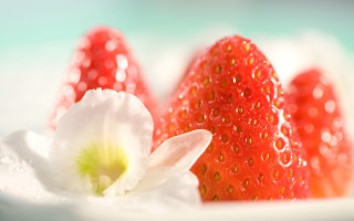 Strawberries flower water droplets blue - delaunay free wallpaper