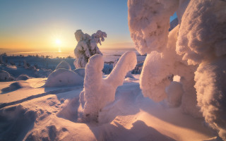 Snow covered sunset trees ice - an abstract sculpture free wallpaper
