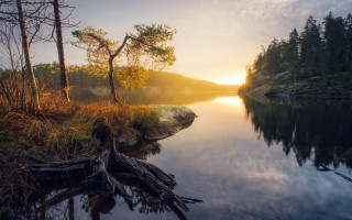 Lake tree stump sunset clouds - magic realism free wallpaper for desktop