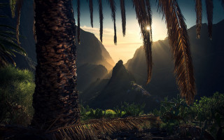 Palm tree sunset mountains landscape - a palm tree in the foreground free wallpaper