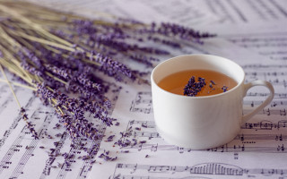 Tea lavender music stilllife purple - florianne becker free wallpaper