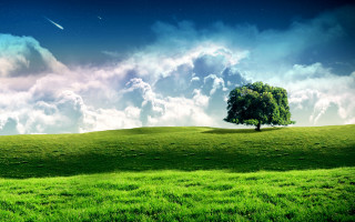 Lone tree grassy hill shooting - beautiful landscape free wallpaper