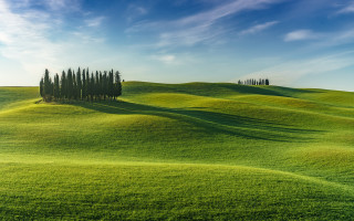 Green field trees blue sky 8 - impressionist free wallpaper