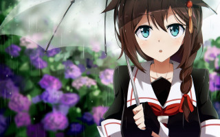 Girl umbrella flower rain anime - a field of flowers free wallpaper