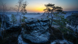 Sunset rocky cliff trees fog - artur tarnowski free wallpaper