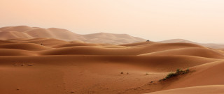 Desert people sand dunes trees - farid mansour free wallpaper