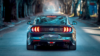 Car street trees backlit cobra - the back of the car free wallpaper