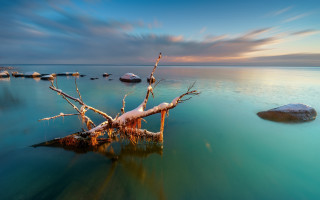 Impressionist tree water rocks sky - impressionist free wallpaper for desktop
