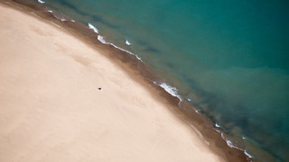 Beach sandy shore lone person - tilt shift free wallpaper