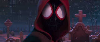 Spider man hooded graveyard night - man free wallpaper