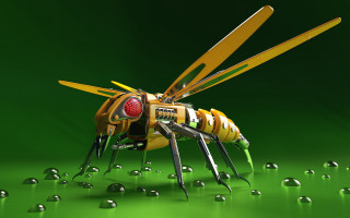 Yellow black insect tools underwater - many free wallpaper for desktop