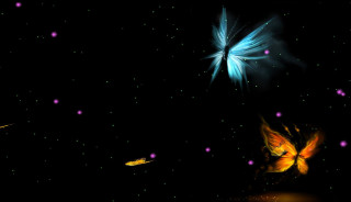 Butterfly night sky stars bright - the night sky free wallpaper
