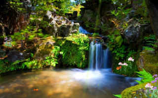 Waterfall lush forest flowers plants - arthur quartley free wallpaper