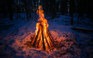 Fire snow forest night bright - primitivism free wallpaper