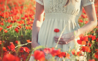 Woman red flowers rose bouquet - a woman in a field free wallpaper