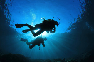 Couple people water animals background - the water free wallpaper