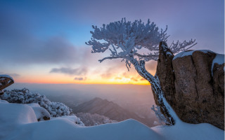 Snowy mountain sunset clouds tree - a sunset in the background free wallpaper