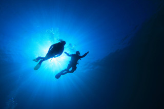 Swimming together sunlight water people - holography free wallpaper
