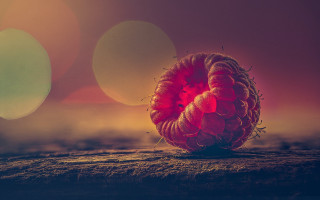 Red berries wooden table blurry - daniel lieske free wallpaper