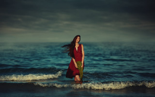 Woman red dress ocean plant - a green plant free wallpaper
