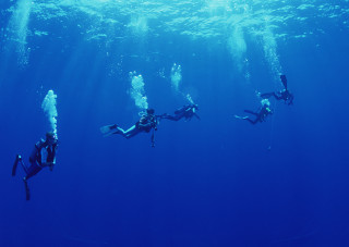 Scuba divers swimming ocean group - the water free wallpaper