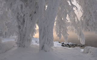 Snowy trees water boat mountain - snow next free wallpaper