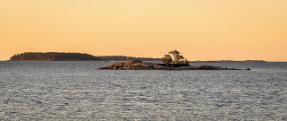 Small island lone tree sunset - a lone tree free wallpaper