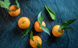 Oranges leaves blue surface constellation - top of them free wallpaper